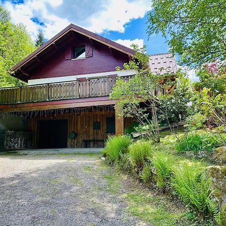 Les Cimes Blanches Cledicihome Chalet 10 Pers Spa & Grand Terrain 4 Minutes Des Pistes La Bresse Exterior foto