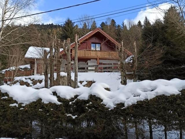 Les Cimes Blanches Cledicihome Chalet 10 Pers Spa & Grand Terrain 4 Minutes Des Pistes La Bresse Exterior foto